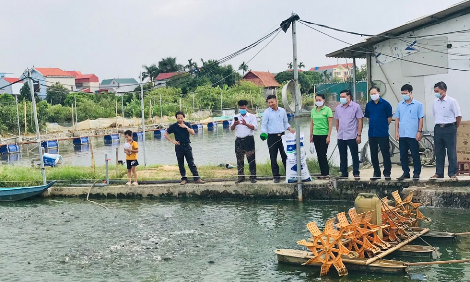 Nông dân phát triển kinh tế,  xây dựng nông thôn mới