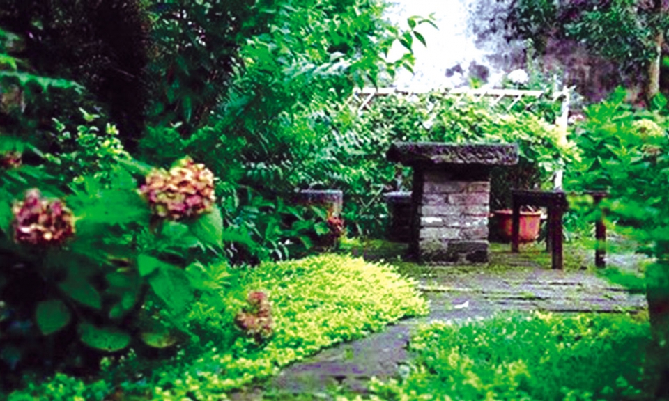 Nốt trầm hạnh phúc
