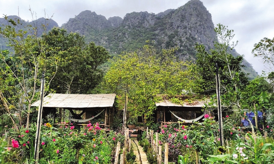 Về với thiên nhiên