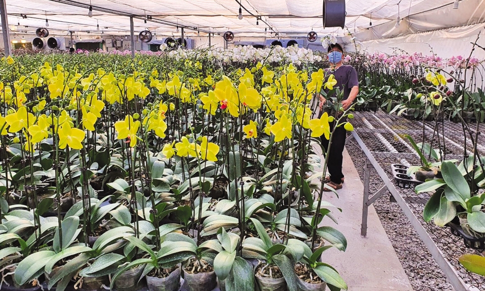 Bắt nhịp cùng thời đại