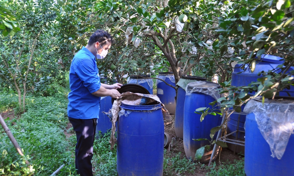 Liên kết để hình thành trang trại chuyên nghiệp  tạo động lực phát triển nông nghiệp