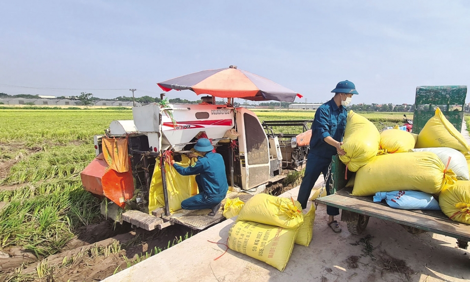 Lực lượng vũ trang Bắc Ninh-Đội quân chiến đấu, đội quân công tác