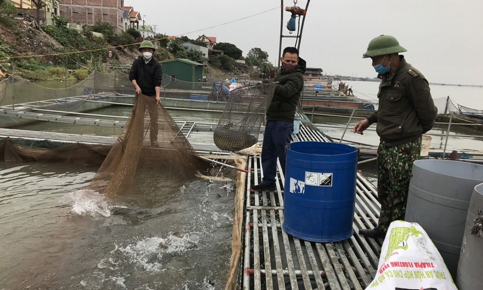 Xây dựng Nông thôn mới gắn với phát triển đô thị