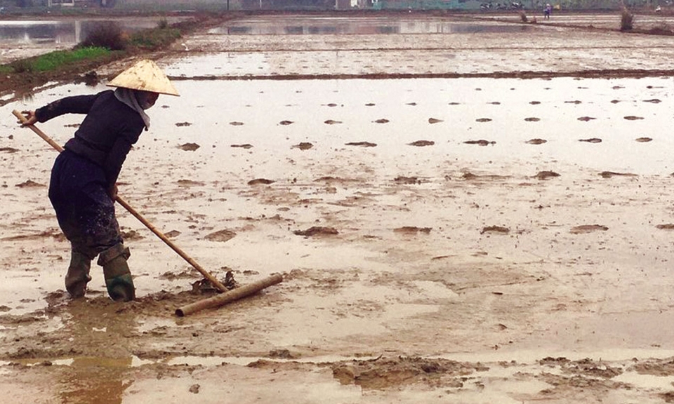 Khởi động cho một vụ xuân thắng lợi