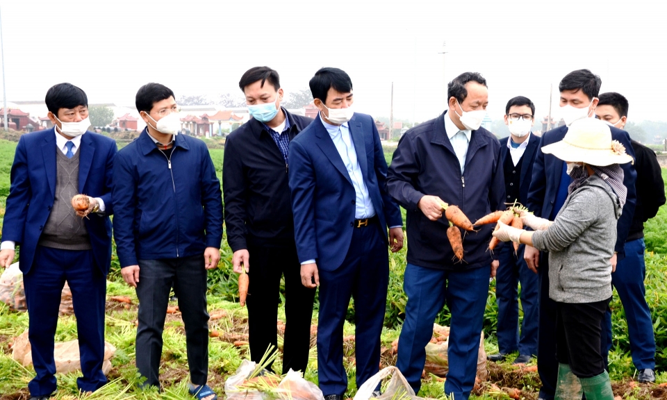 Phó Bí thư Thường trực Tỉnh ủy Nguyễn Quốc Chung kiểm tra sản xuất nông nghiệp tại huyện Lương Tài