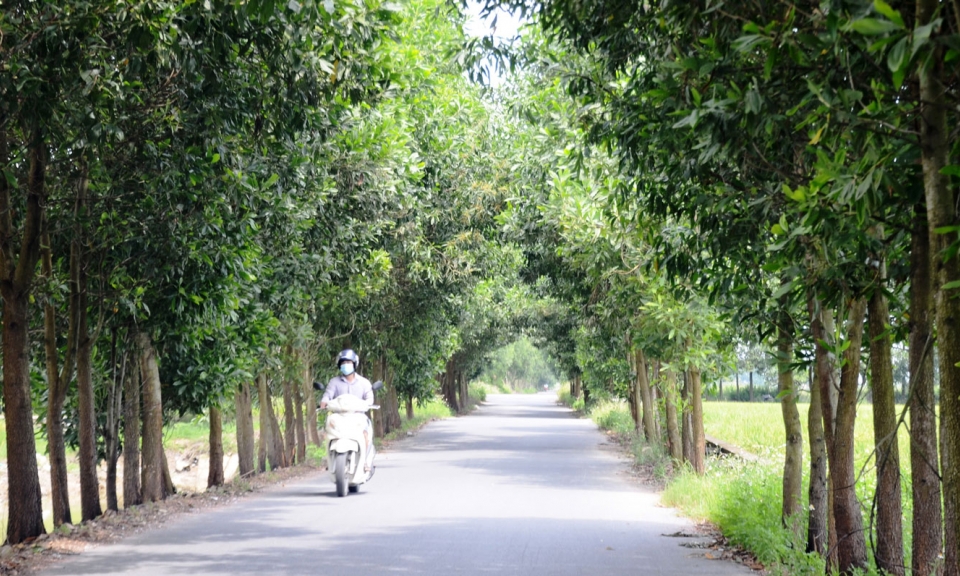 Lương Tài với phong trào trồng cây phân tán