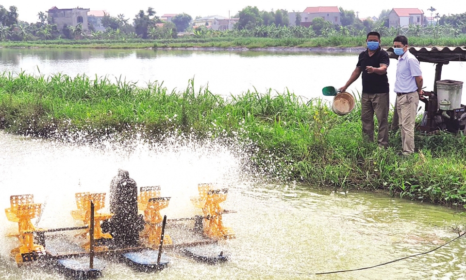 Sản xuất thủy sản gắn với bảo vệ  môi trường sinh thái