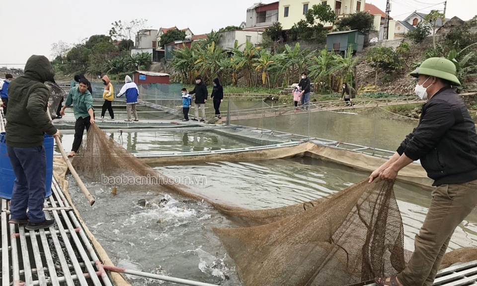 Nuôi trồng thủy sản gắn với bảo vệ môi trường