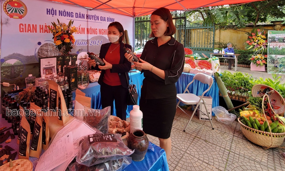 Hướng đến nền kinh tế tăng trưởng xanh, bền vững