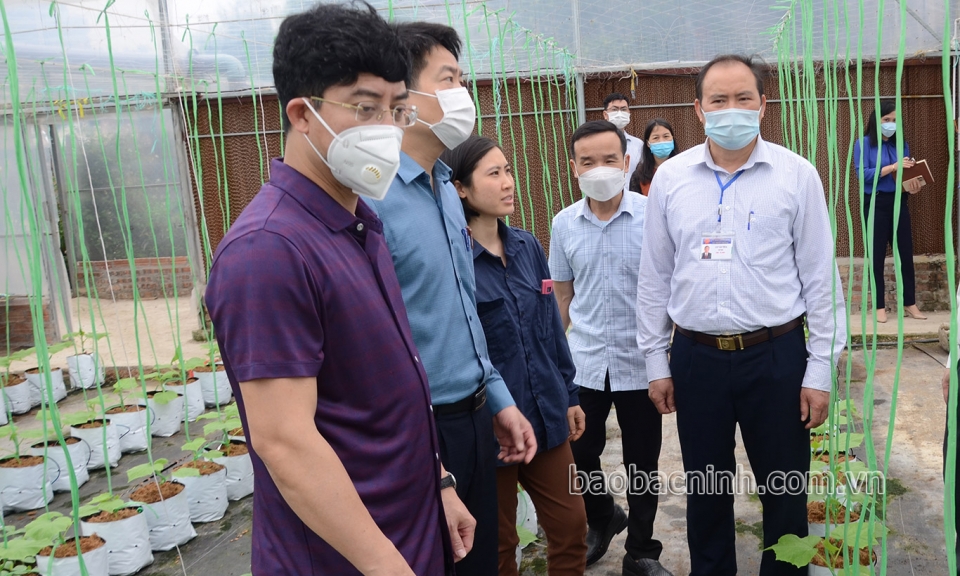 Thẩm định 11 xã đề nghị công nhận đạt chuẩn NTM nâng cao năm 2021