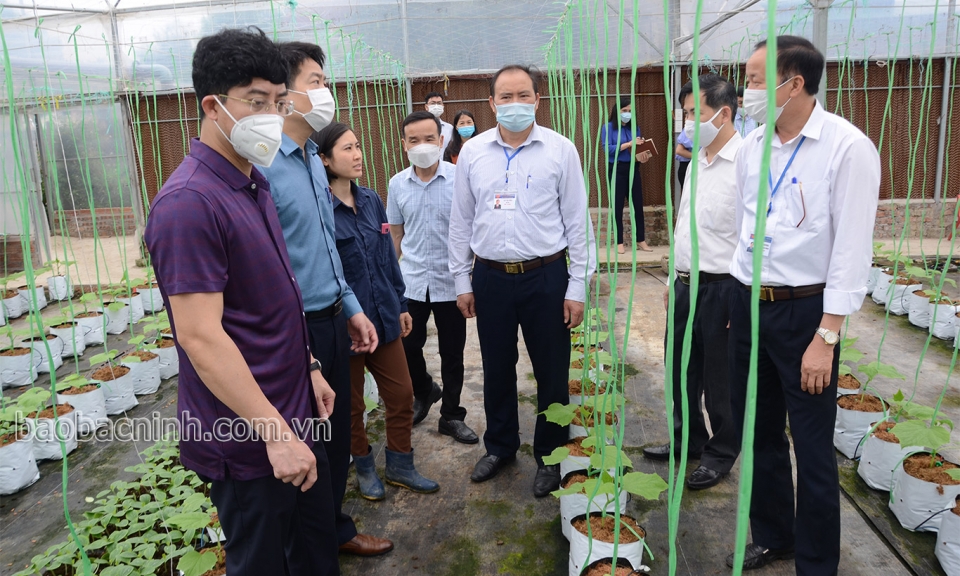 Đề nghị công nhận 2 xã Nhân Thắng, Đại Lai (Gia Bình) đạt chuẩn Nông thôn mới nâng cao
