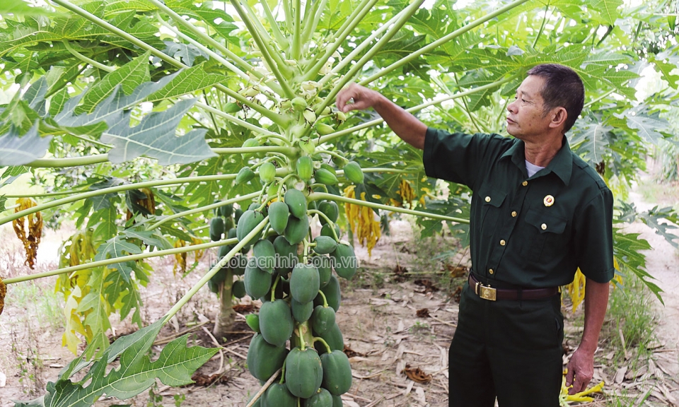Làm giàu từ mô hình VAC