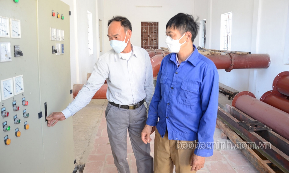 Chuyển trọng tâm sang chăm sóc, bảo vệ lúa xuân