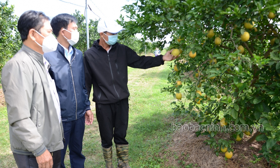 Nâng cao hiệu quả sản xuất nông nghiệp