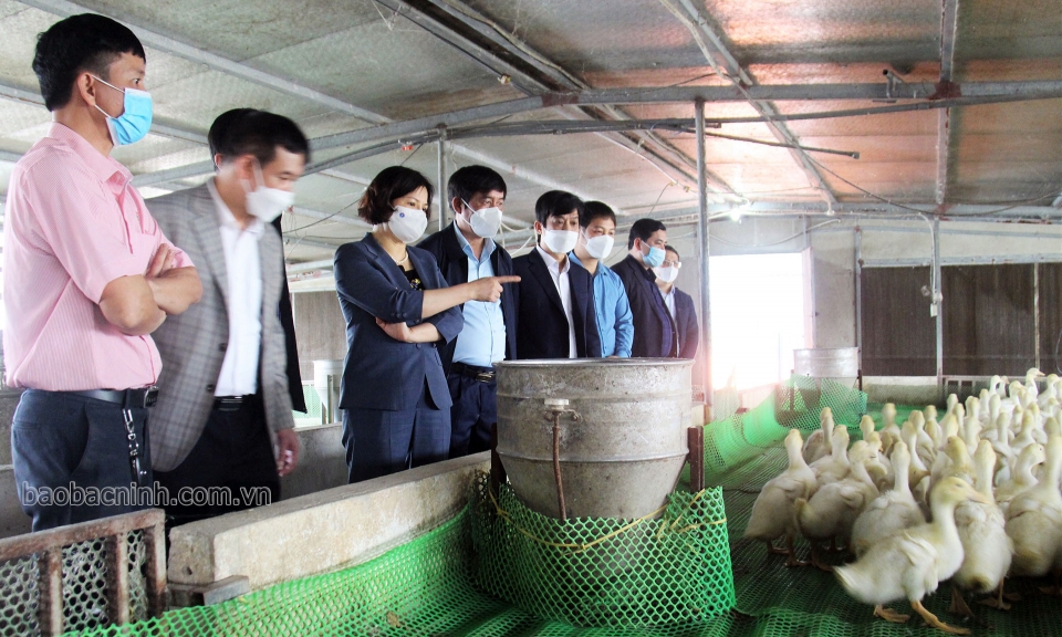 Chủ tịch UBND tỉnh làm việc tại huyện Yên Phong