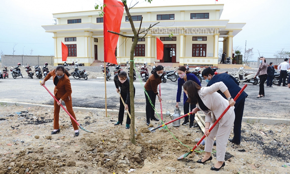 Nét đẹp trồng cây mùa xuân