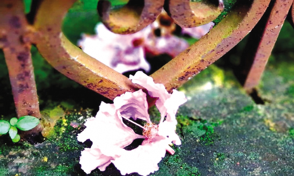 Chúng ta luôn có thứ để cho đi