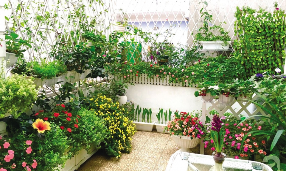 Khu vườn trên mái nhà