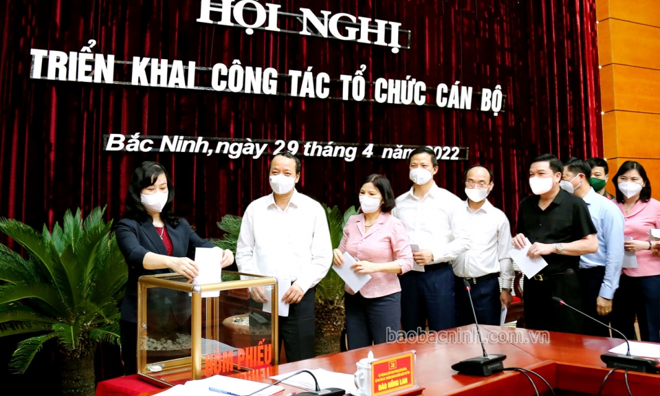 Ban Chấp hành Đảng bộ tỉnh triển khai công tác tổ chức cán bộ