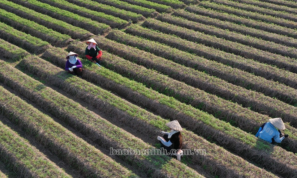 175 dự án trong danh mục thu hút đầu tư năm 2022, định hướng năm 2025
