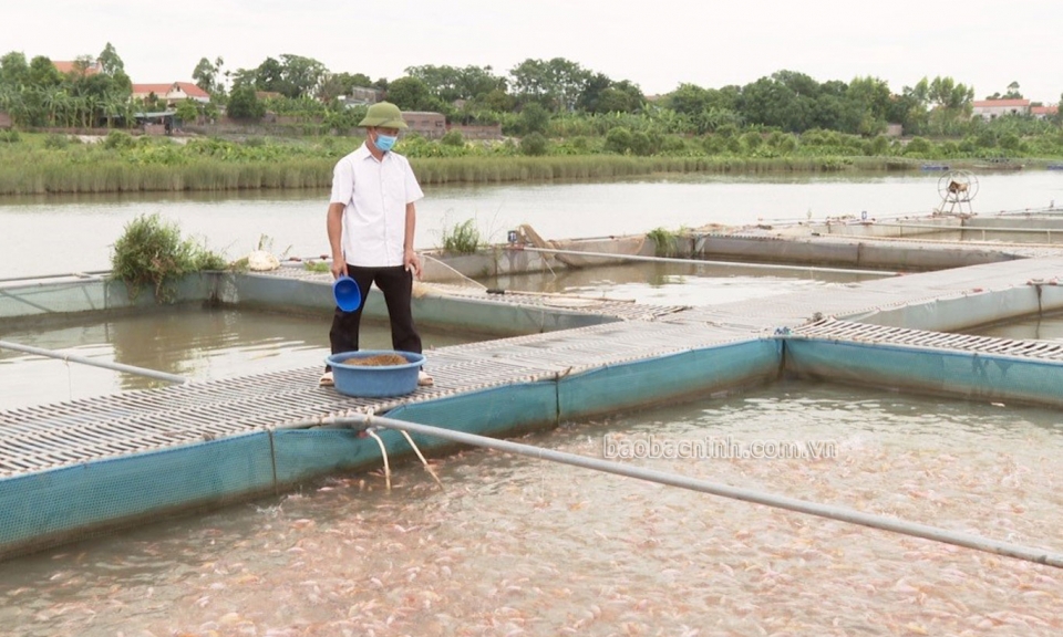 Xây dựng NTM nâng cao gắn với nông nghiệp công nghệ cao