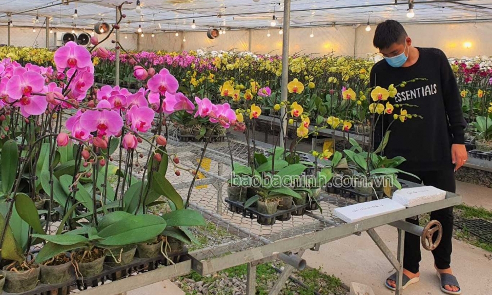 Xây dựng Nông thôn mới nâng cao  gắn với công nghiệp hóa nông nghiệp