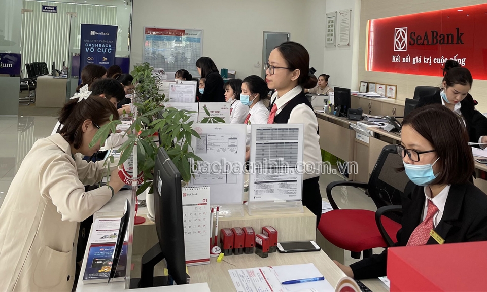 Huy động tiền gửi của các tổ chức tăng 17,3%