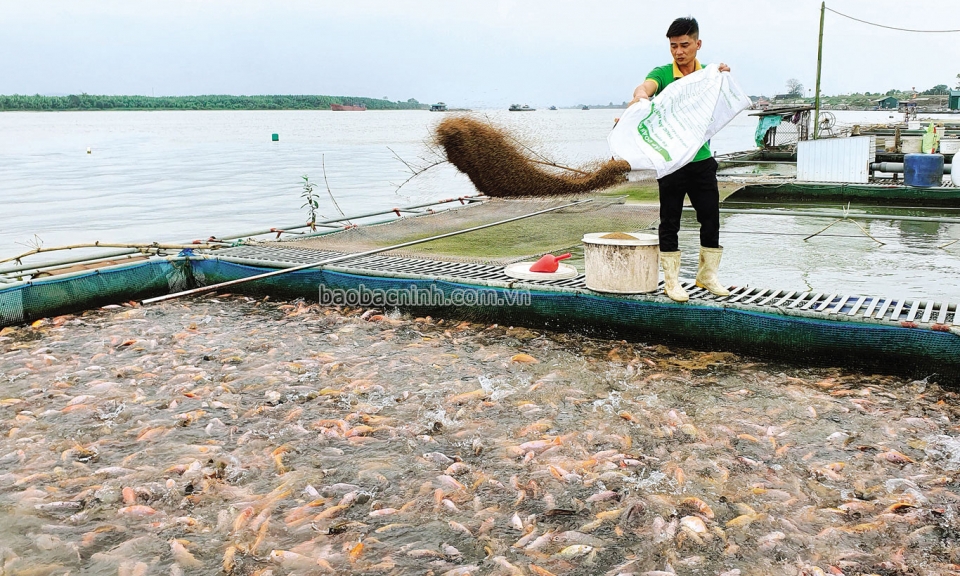 Học tập và làm theo Bác ở Song Giang