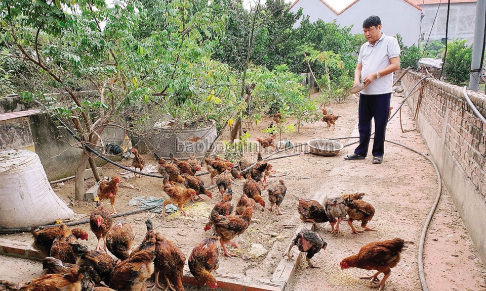 Ghi nhận ở Đảng bộ Ngọc Xá