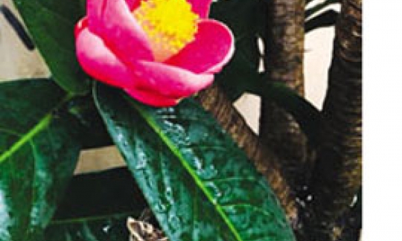 Chốn đi về