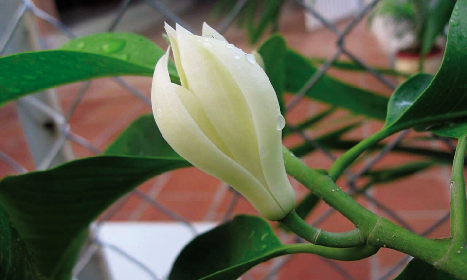 Tuổi nào cũng cần học cách yêu