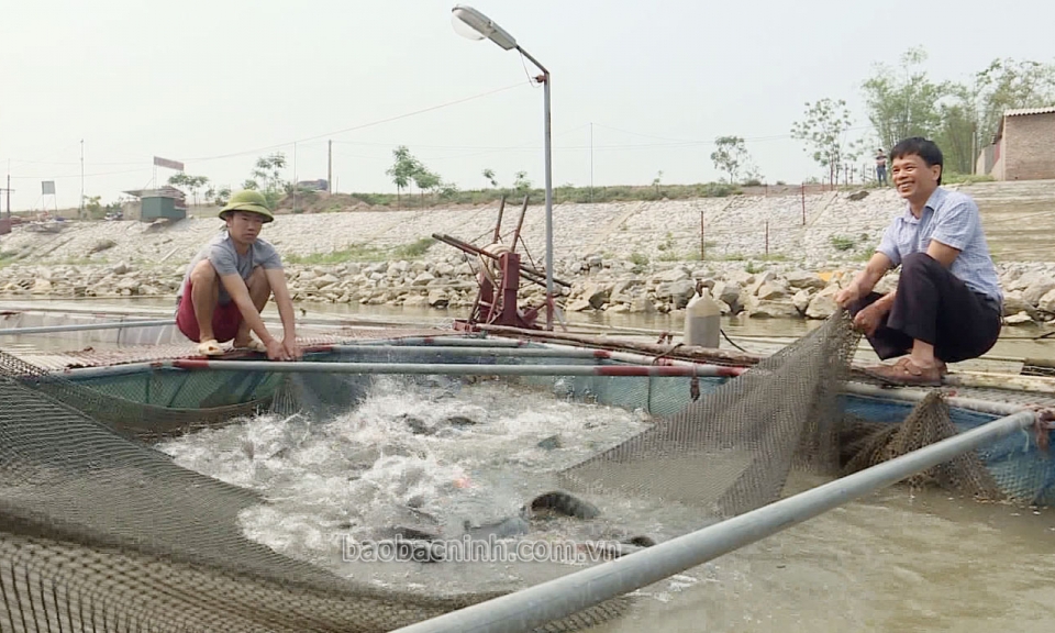 Phát triển sản xuất gắn với xây dựng Nông thôn mới