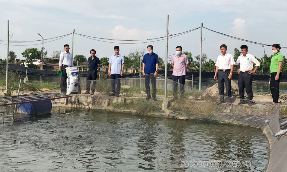 Thuận Thành vận động nông dân  phát triển kinh tế tập thể