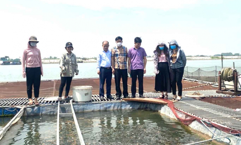 Bổ sung 79 tỷ đồng nguồn vốn ngân sách địa phương ủy thác cho hộ nghèo và các đối tượng chính sách phát triển sản xuất
