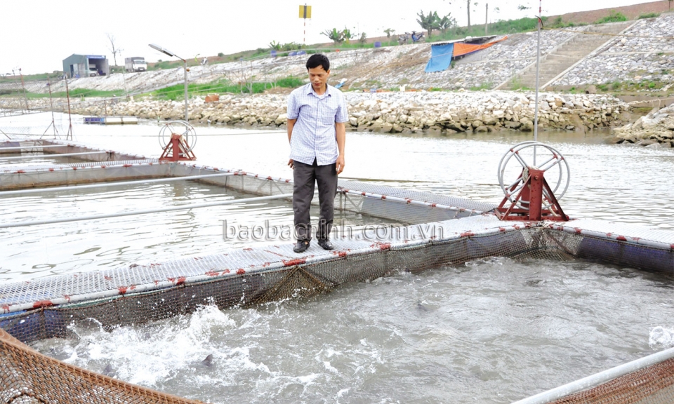 HTX nông nghiệp tiên tiến  đi đầu đổi mới nông nghiệp