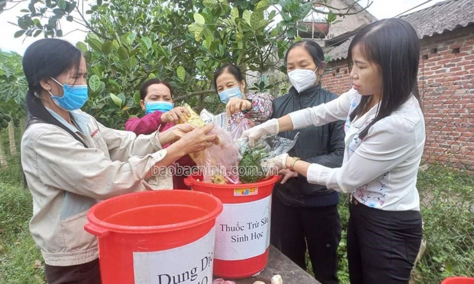 Hiệu quả từ việc sử dụng men vi sinh IMO để xử lý rác hữu cơ