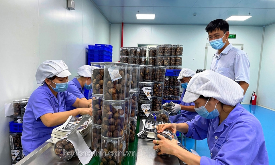 Tổng dư nợ tín dụng toàn ngành Ngân hàng tăng 11,2%