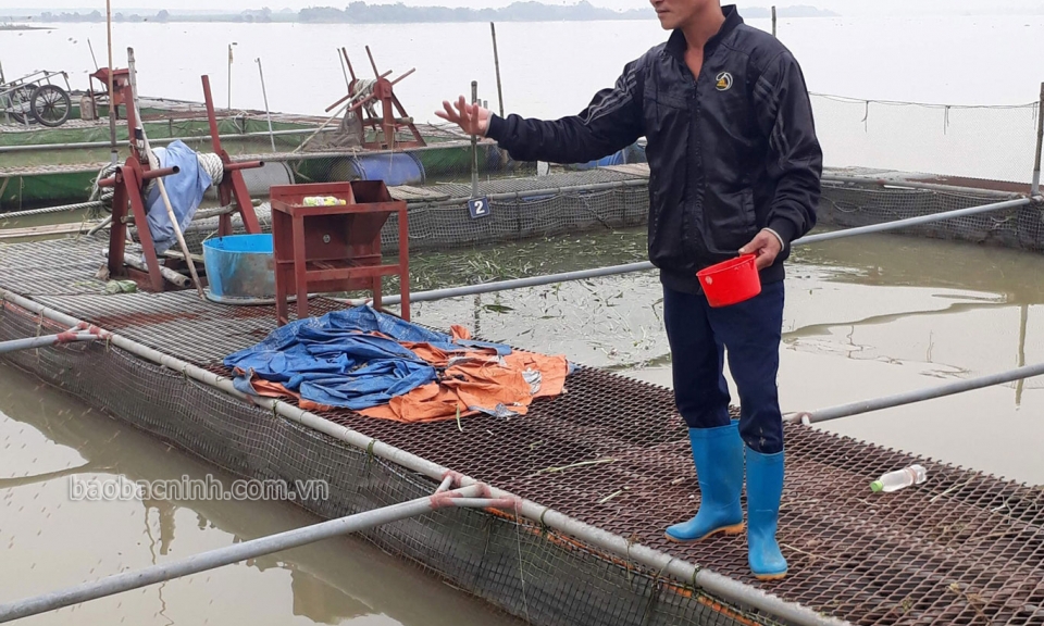 Phấn đấu có thêm 20-30 chuỗi sản xuất, cung ứng thực phẩm nông, lâm, thủy sản an toàn năm 2022
