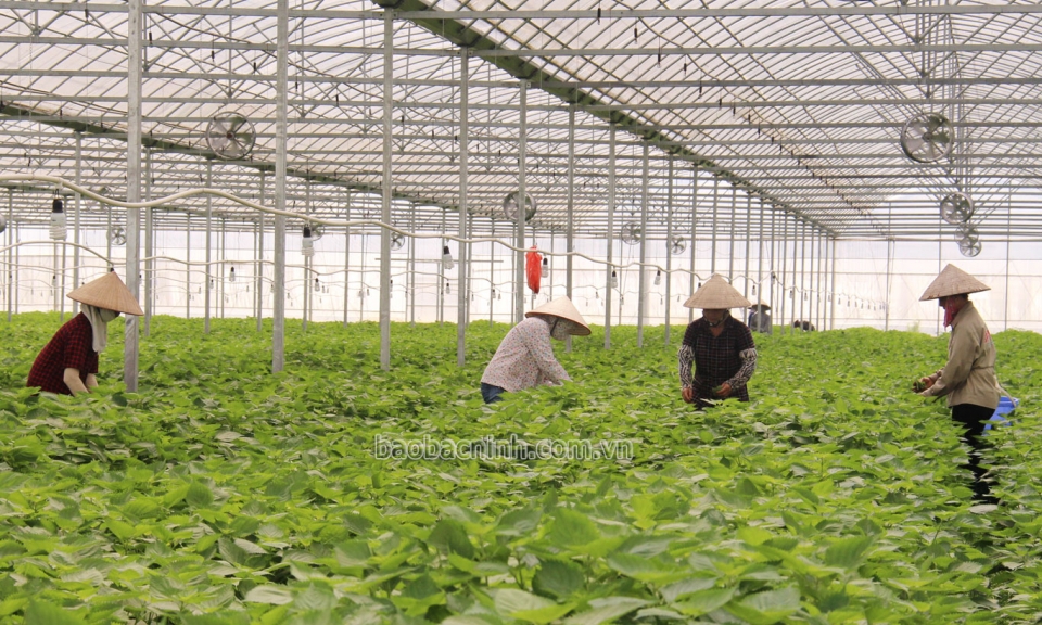 Người dân huyện Lương Tài đóng góp gần 3.000 ngày công xây dựng Nông thôn mới