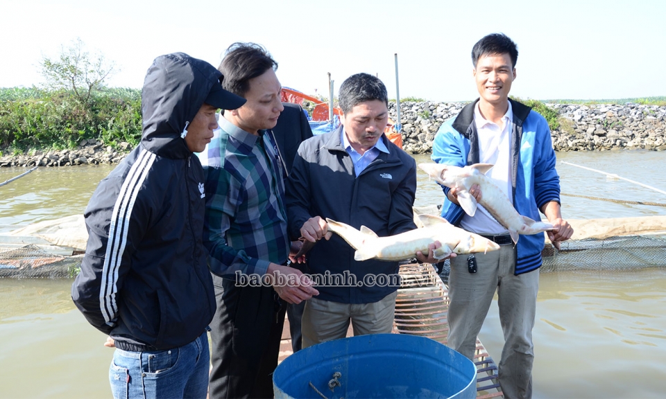 Tọa đàm phát triển nuôi trồng thủy sản bền vững
