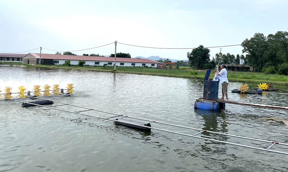 Hơn 4.000 khách hàng huyện Quế Võ sử dụng nguồn vốn Agribank đầu tư phát triển kinh tế
