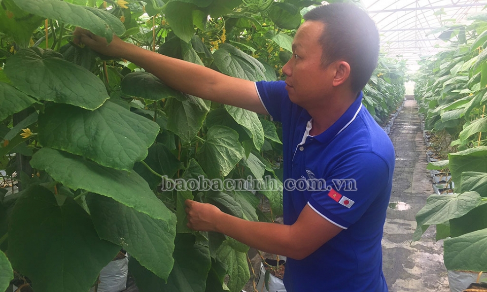25 mô hình thanh niên phát triển kinh tế được hỗ trợ vay vốn