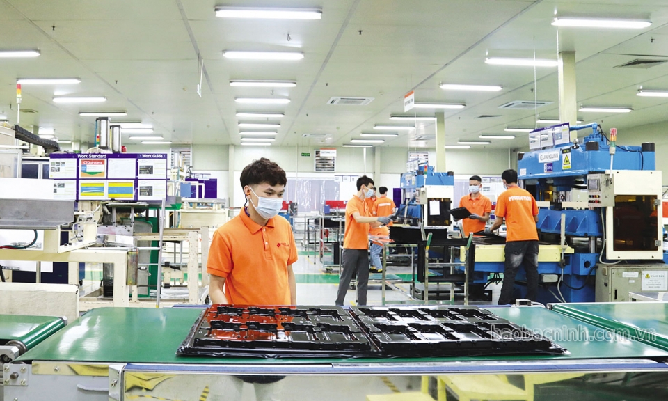 Thúc đẩy gia tăng chuỗi giá trị
