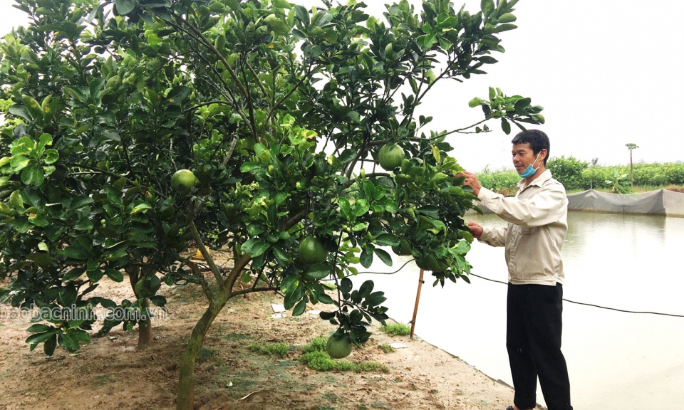 Vốn vay giải quyết việc làm  tạo “đòn bẩy” hỗ trợ người lao động