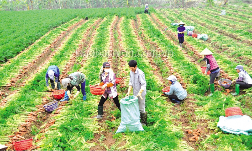 Phát triển tài sản trí tuệ  đối với sản phẩm chủ lực