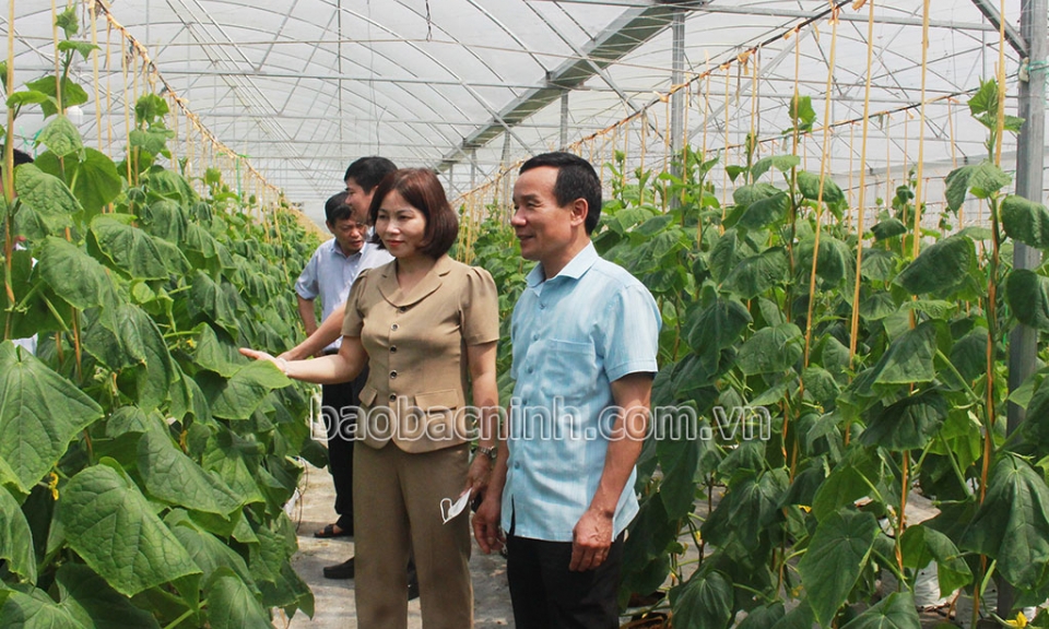 Khảo sát tình hình thực hiện chính sách hỗ trợ phát triển sản xuất nông nghiệp tại Gia Bình
