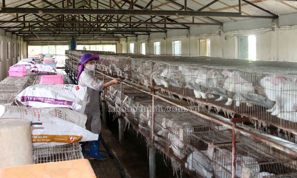 Ứng dụng công nghệ trong nông nghiệp là xu hướng tất yếu