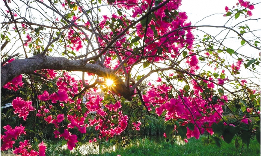 Thương nhau đủ lâu,  tình khắc đậm sâu
