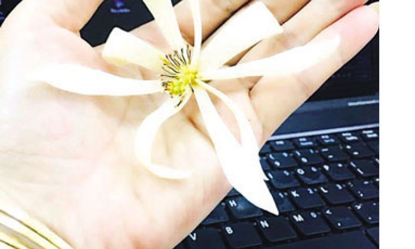 Hãy yêu một người có EQ cao