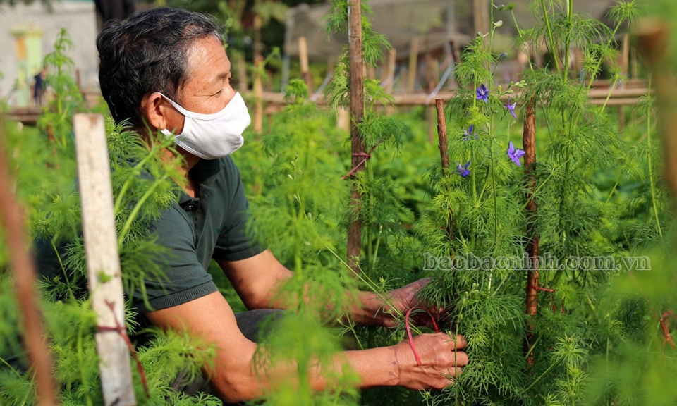 Quỹ hỗ trợ nông dân đạt 11,3 tỷ đồng